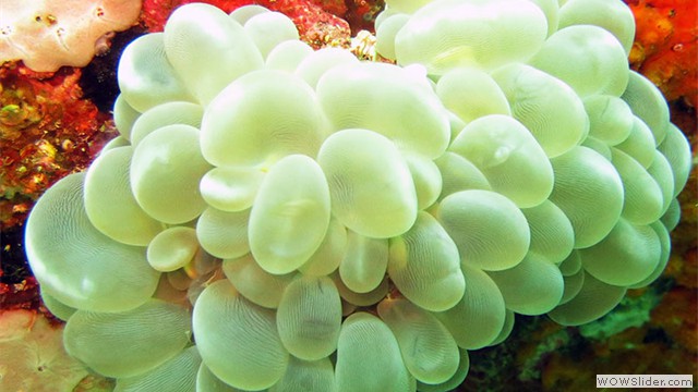 Weh Island, Acheh, Indonesia Weh Island, Acheh, Indonesia