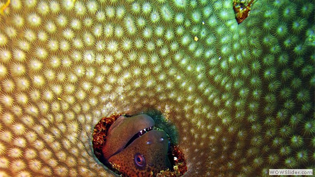 Weh Island, Acheh, Indonesia Weh Island, Acheh, Indonesia