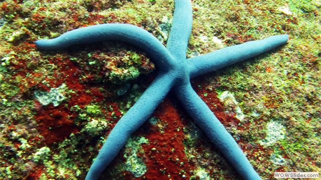 Weh Island, Acheh, Indonesia Weh Island, Acheh, Indonesia