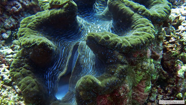 Layang-layang Island, Sabah Layang-layang Island, Sabah