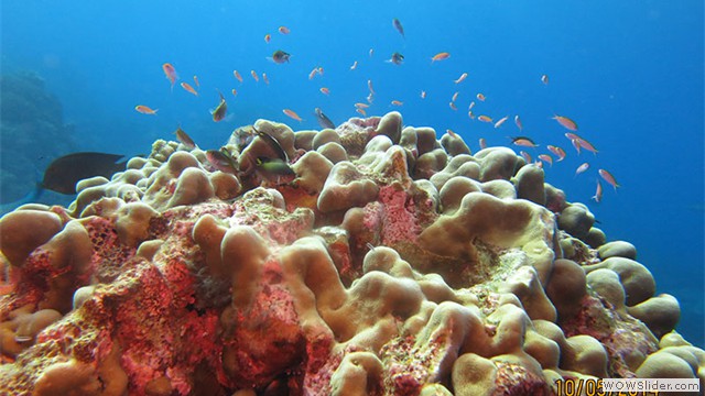 Layang-layang Island, Sabah Layang-layang Island, Sabah