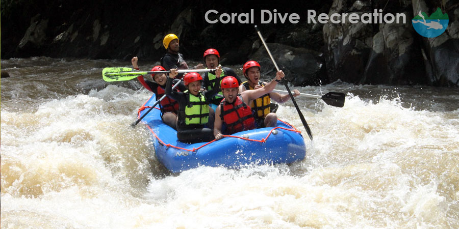 "Copyright Reserved Coral Dive and Recreation"